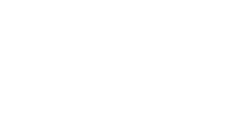 Cobra Auto Styling