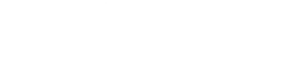 XPEL